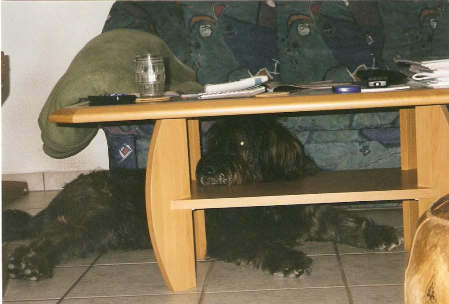 Balou