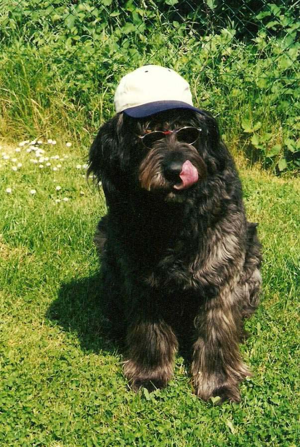 Balou-3