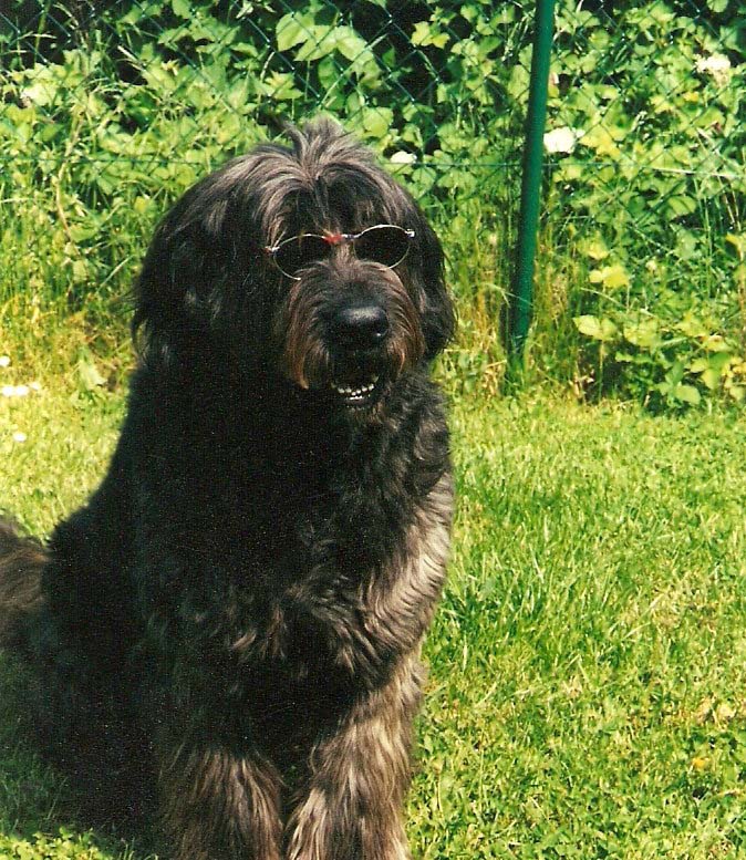 Balou-4
