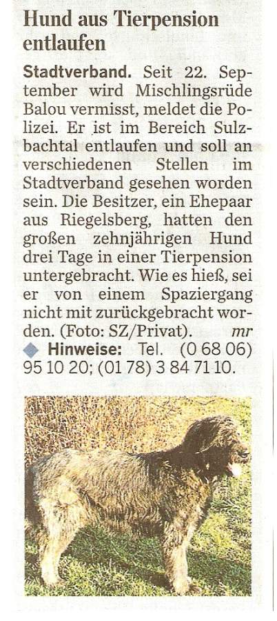Balou in der SZ