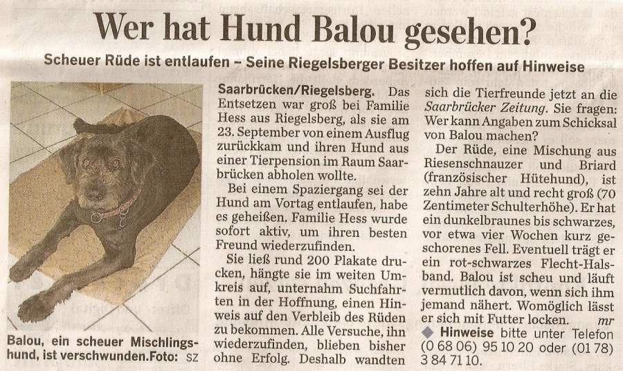 Balou Suche